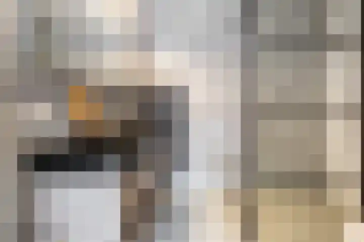 Willem de Kooningstraat 10 Dronten thumbnail 22