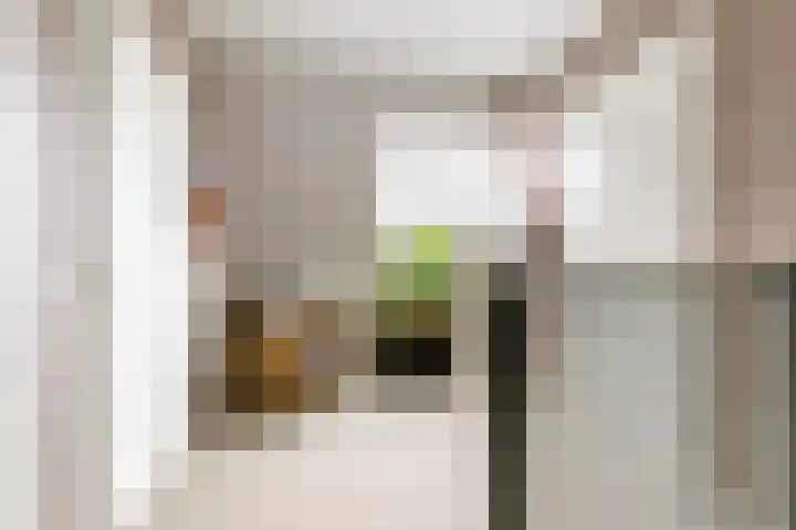 Willem de Kooningstraat 10 Dronten thumbnail 23
