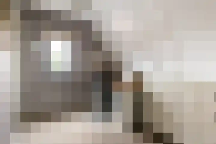 Willem de Kooningstraat 10 Dronten thumbnail 26