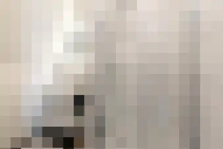 Willem de Kooningstraat 10 Dronten thumbnail 29