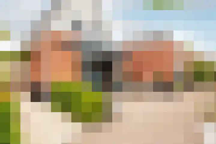 Willem de Kooningstraat 10 Dronten thumbnail 32