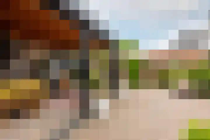 Willem de Kooningstraat 10 Dronten thumbnail 35