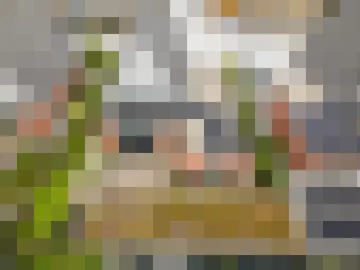 Willem de Kooningstraat 10 Dronten thumbnail 37