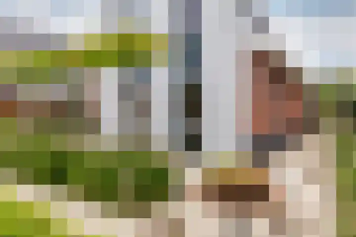 Willem de Kooningstraat 10 Dronten thumbnail 39
