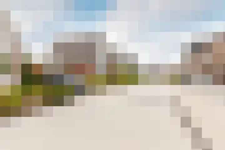 Willem de Kooningstraat 10 Dronten thumbnail 44