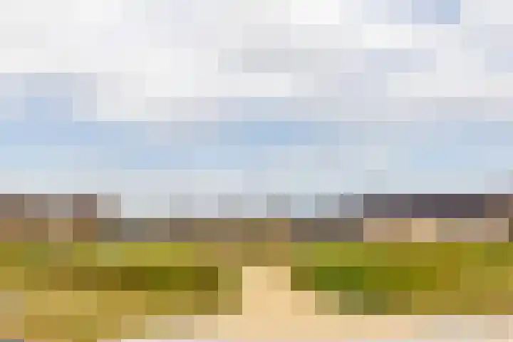 Willem de Kooningstraat 10 Dronten thumbnail 45