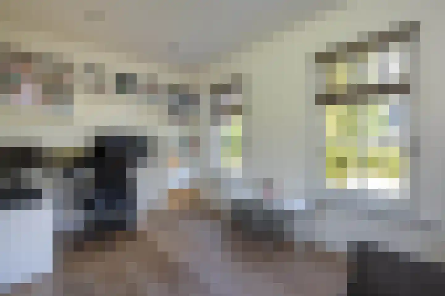 Willem de Kooningstraat 11 Hengelo thumbnail 10