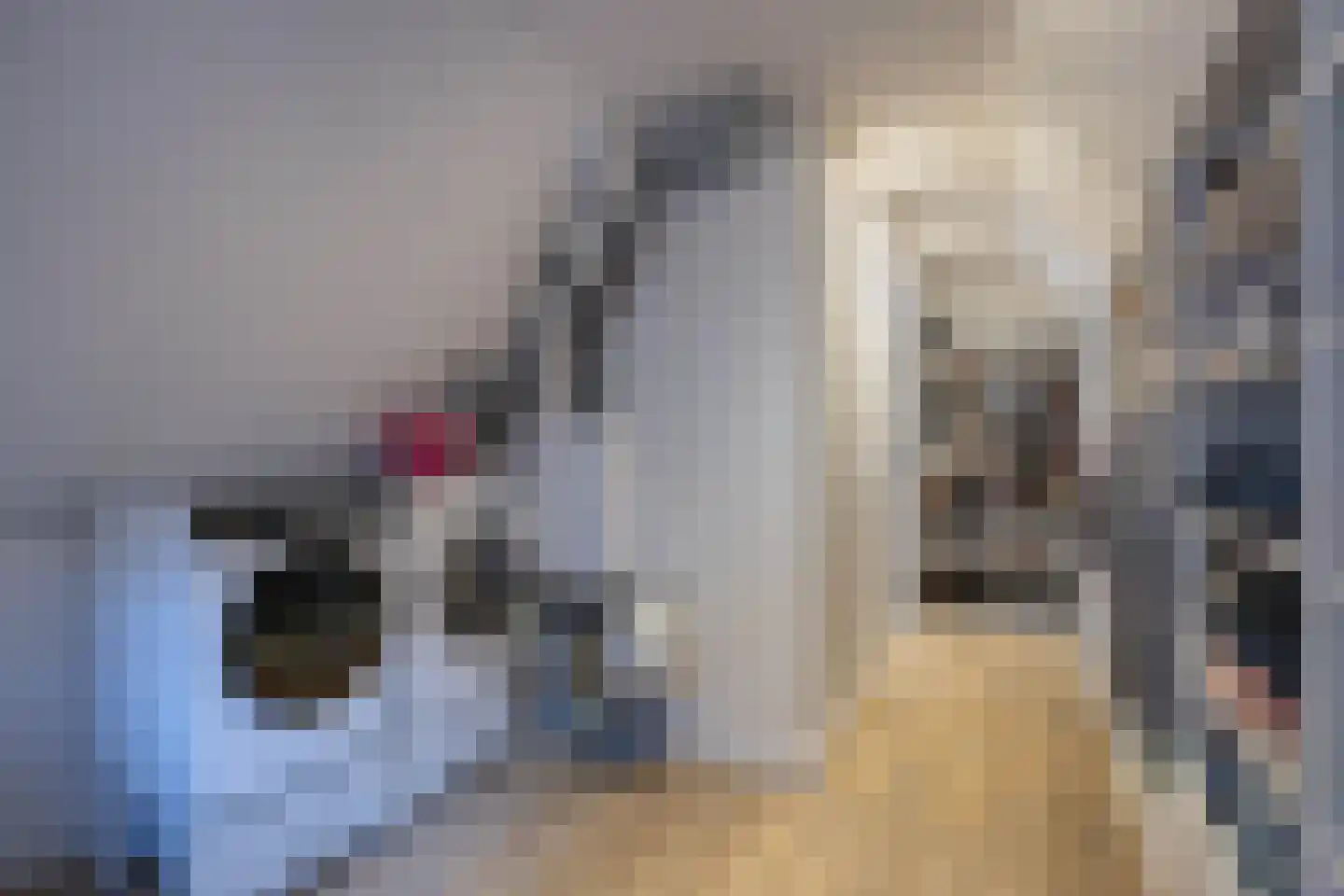 Willem de Kooningstraat 11 Hengelo thumbnail 30