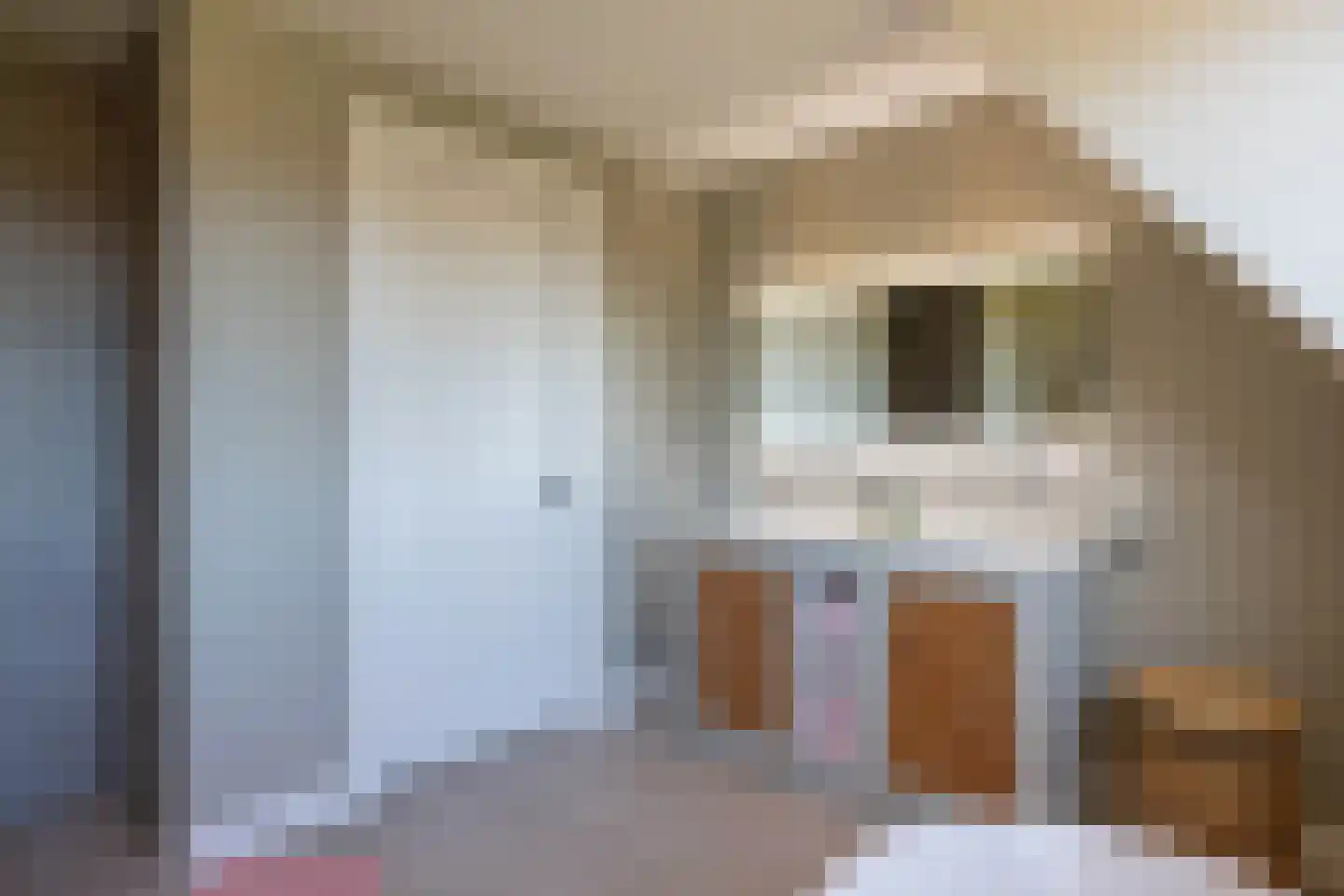 Willem de Kooningstraat 11 Hengelo thumbnail 32