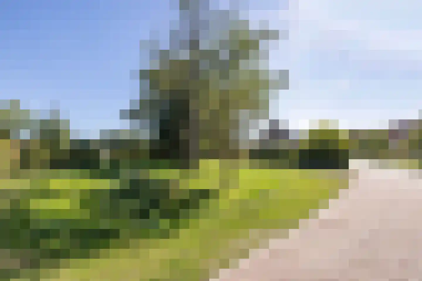 Willem de Kooningstraat 11 Hengelo thumbnail 53
