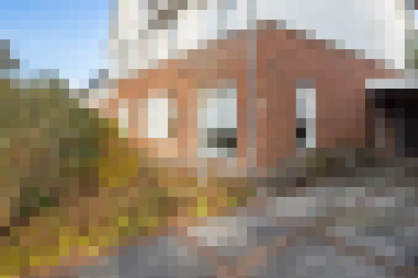 Willem de Kooningstraat 39 Hengelo thumbnail 10