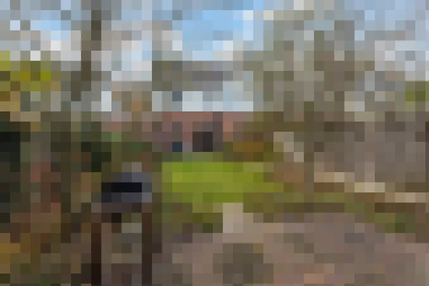 Willem de Kooningstraat 39 Hengelo thumbnail 28