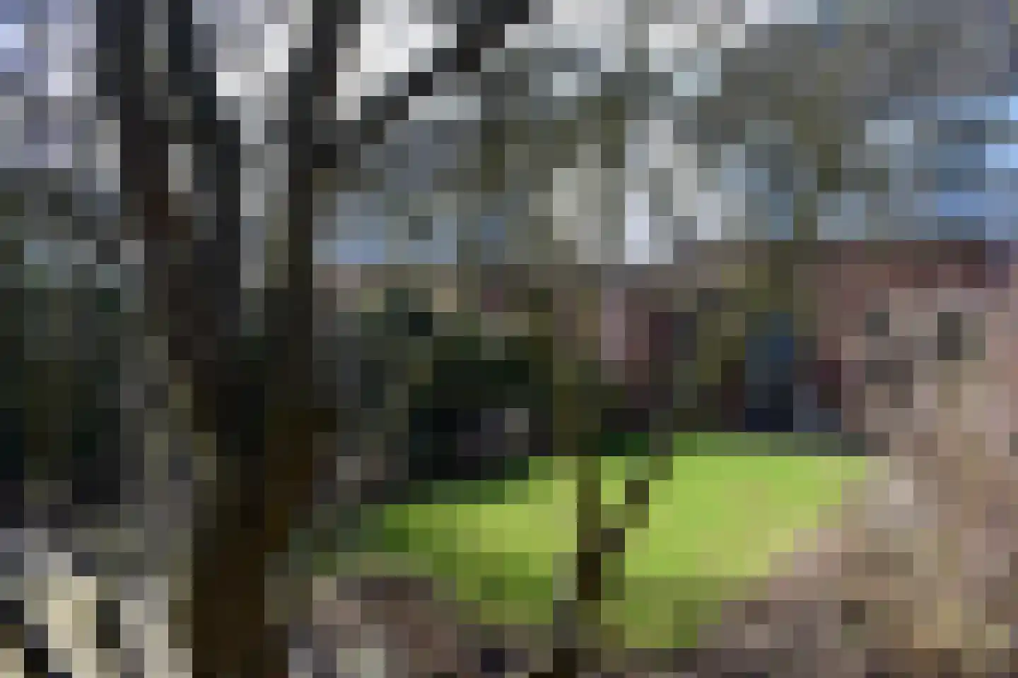 Willem de Kooningstraat 39 Hengelo thumbnail 34