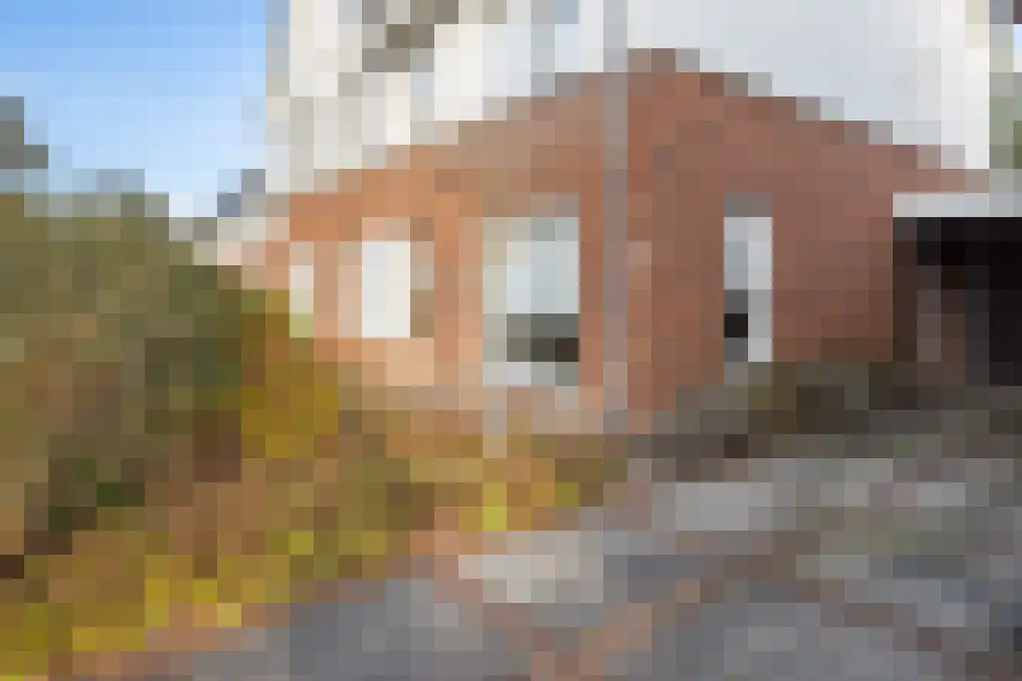 Willem de Kooningstraat 39 Hengelo thumbnail 9