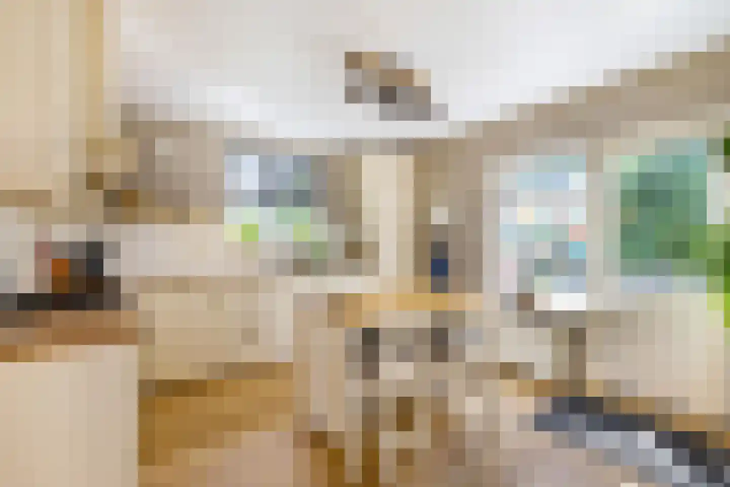 Willem de Mérodelaan 16 Spijk thumbnail 10