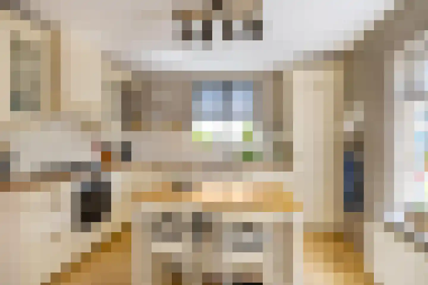 Willem de Mérodelaan 16 Spijk thumbnail 11