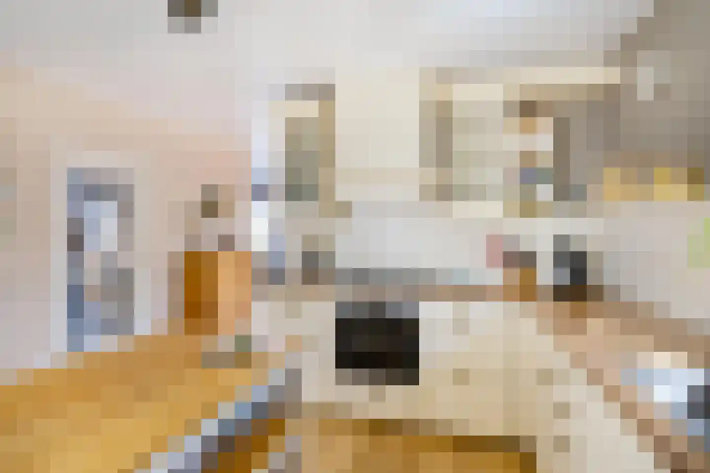 Willem de Mérodelaan 16 Spijk thumbnail 14