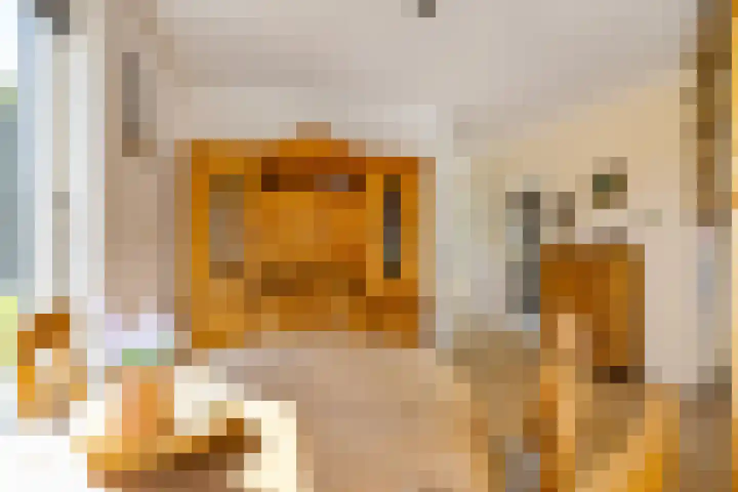Willem de Mérodelaan 16 Spijk thumbnail 15