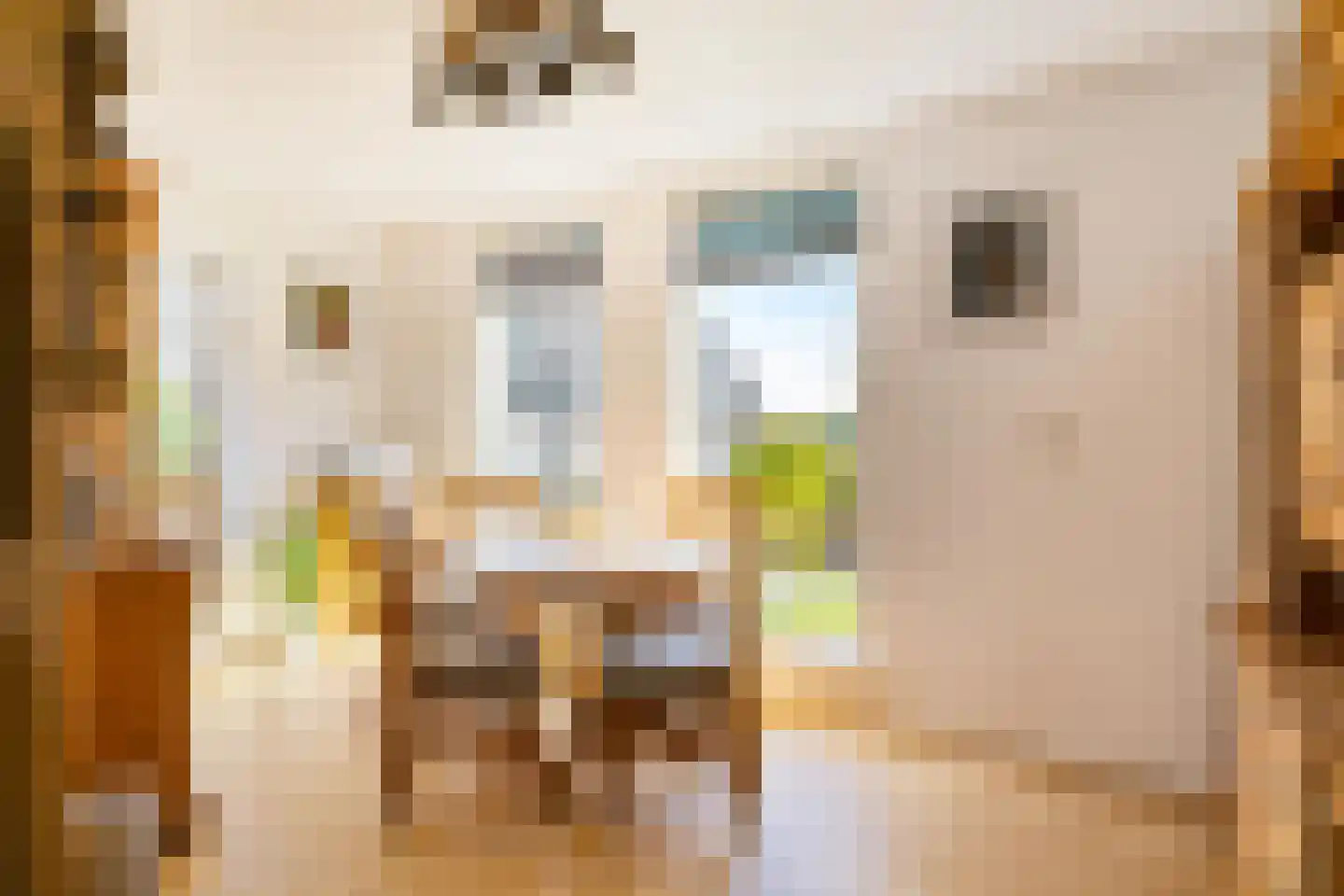 Willem de Mérodelaan 16 Spijk thumbnail 16