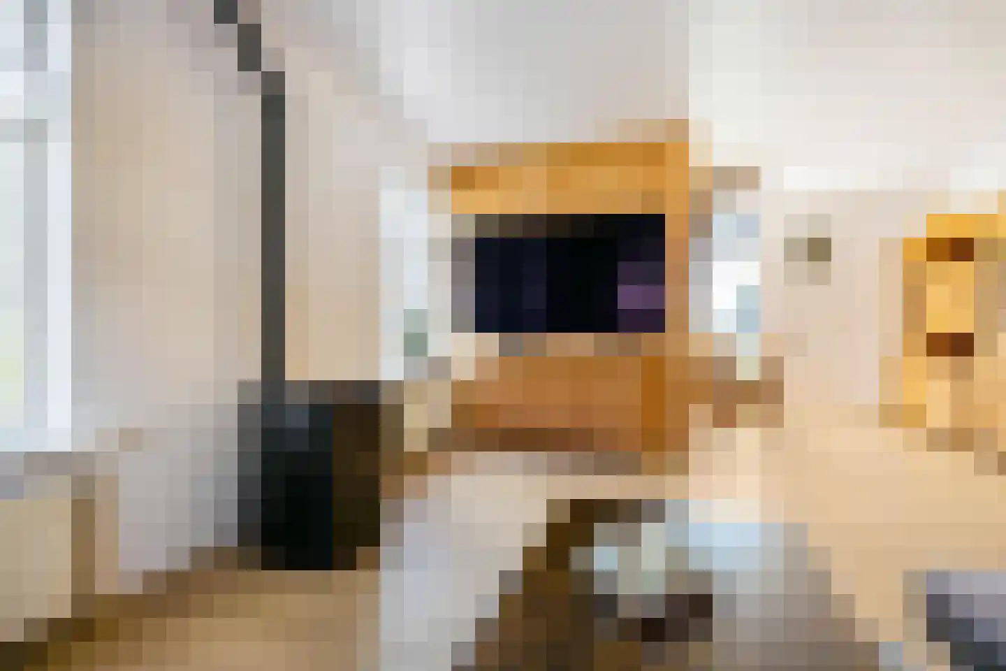 Willem de Mérodelaan 16 Spijk thumbnail 18