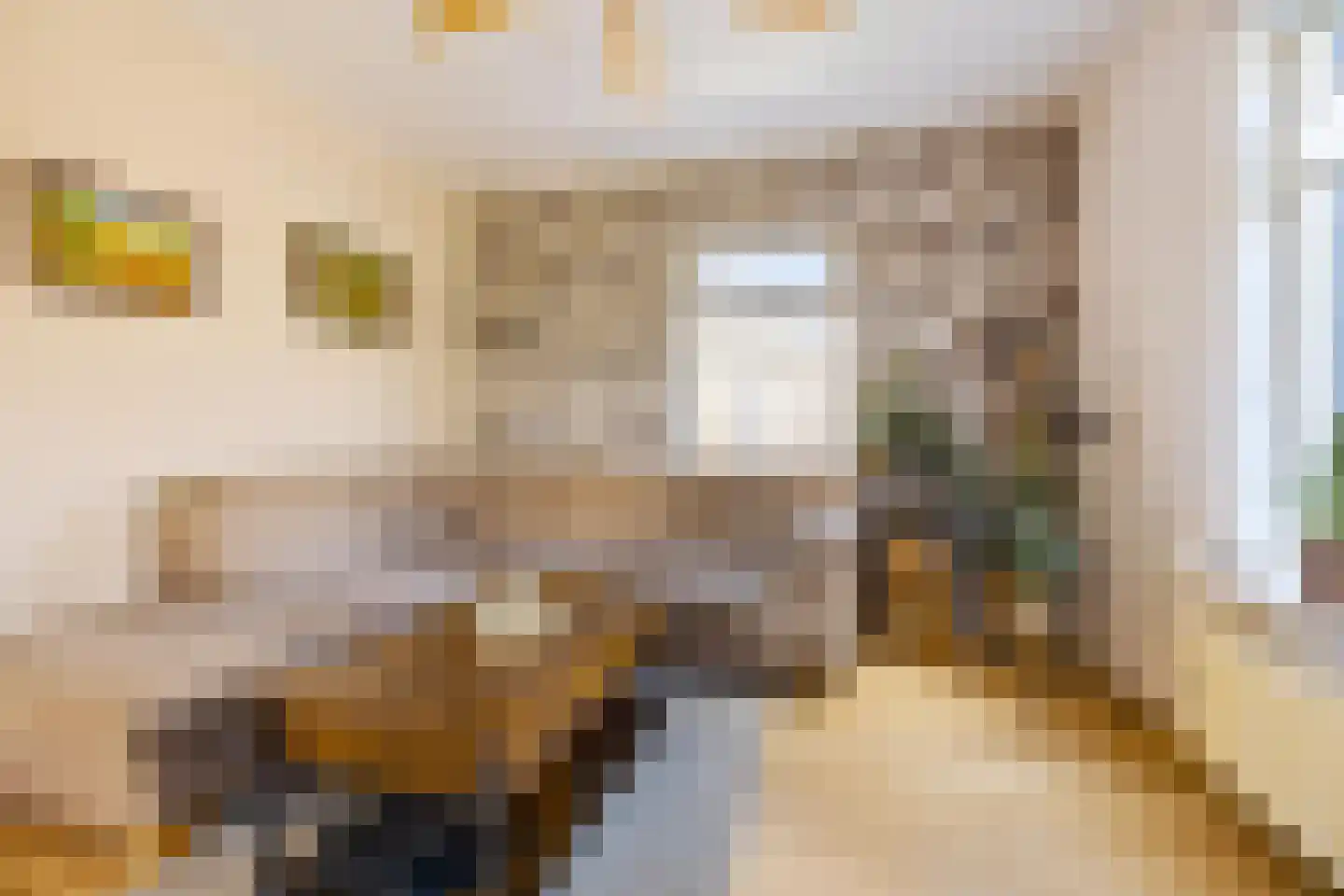 Willem de Mérodelaan 16 Spijk thumbnail 19
