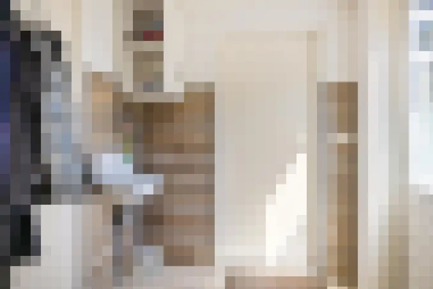 Willem de Mérodelaan 16 Spijk thumbnail 25