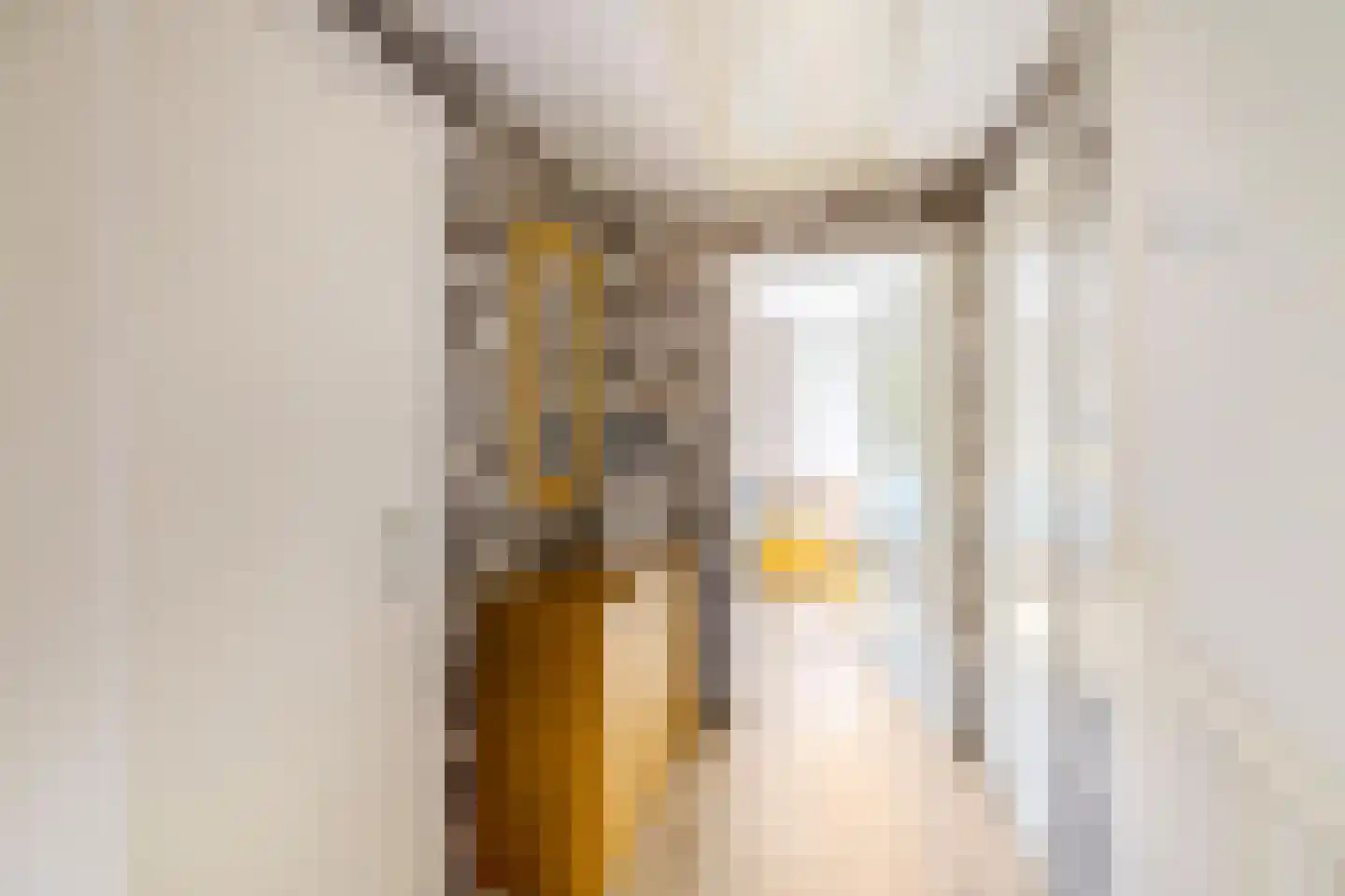 Willem de Mérodelaan 16 Spijk thumbnail 28