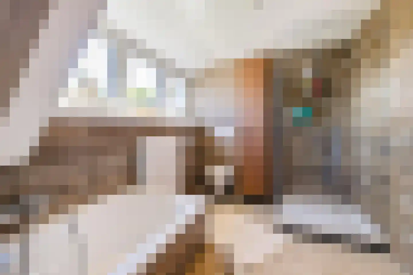 Willem de Mérodelaan 16 Spijk thumbnail 36