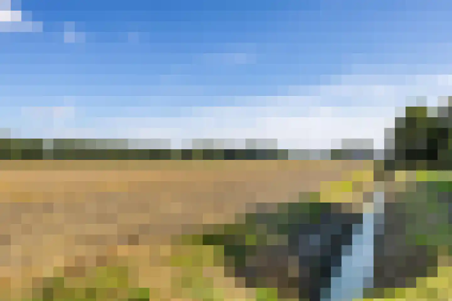 Willem de Mérodelaan 16 Spijk thumbnail 54