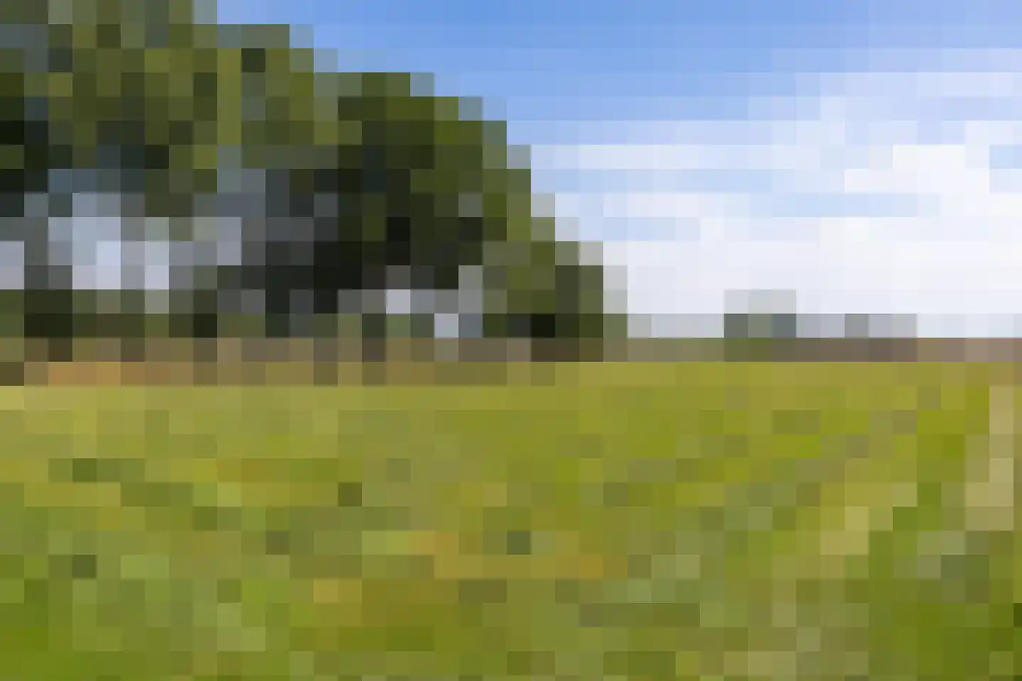 Willem de Mérodelaan 16 Spijk thumbnail 55