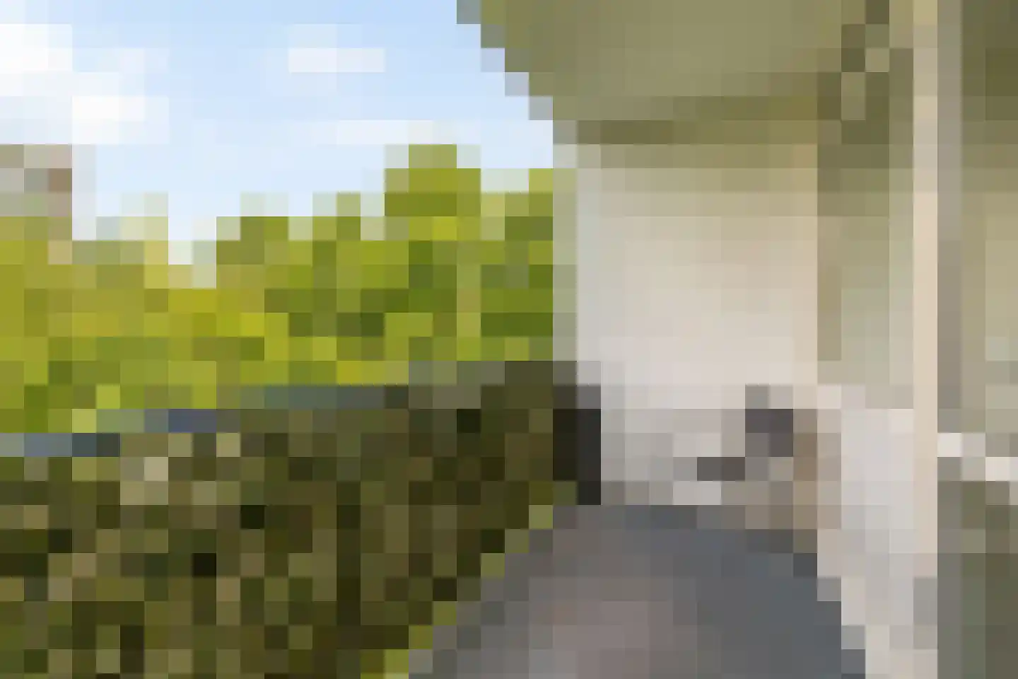 Willem de Mérodestraat 27 Weesp thumbnail 4