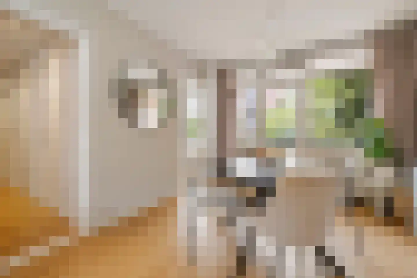 Willem de Mérodestraat 41 Weesp thumbnail 17