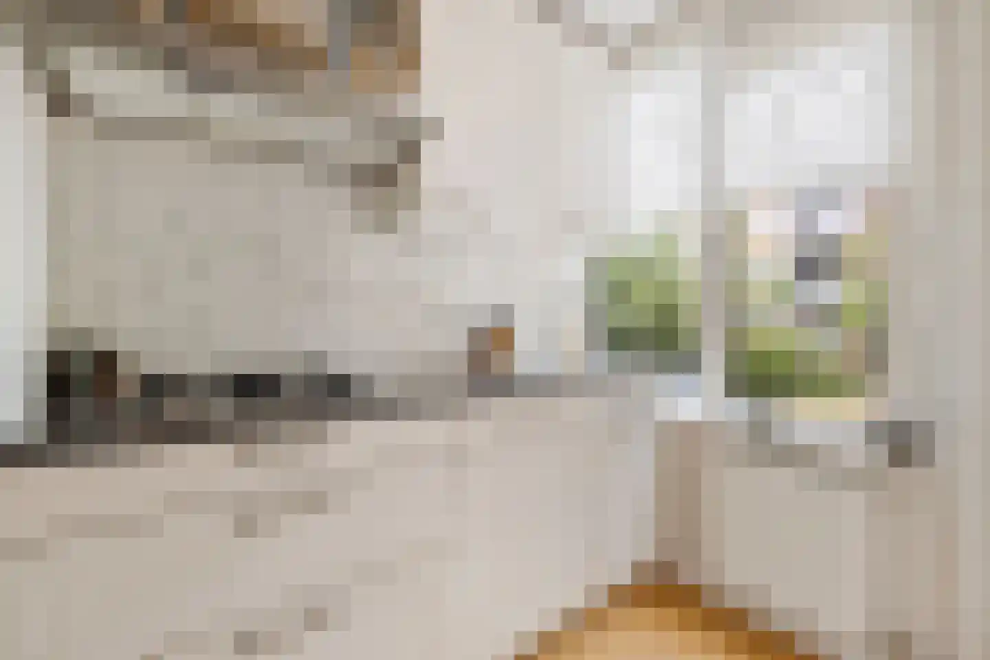 Willem de Mérodestraat 41 Weesp thumbnail 21