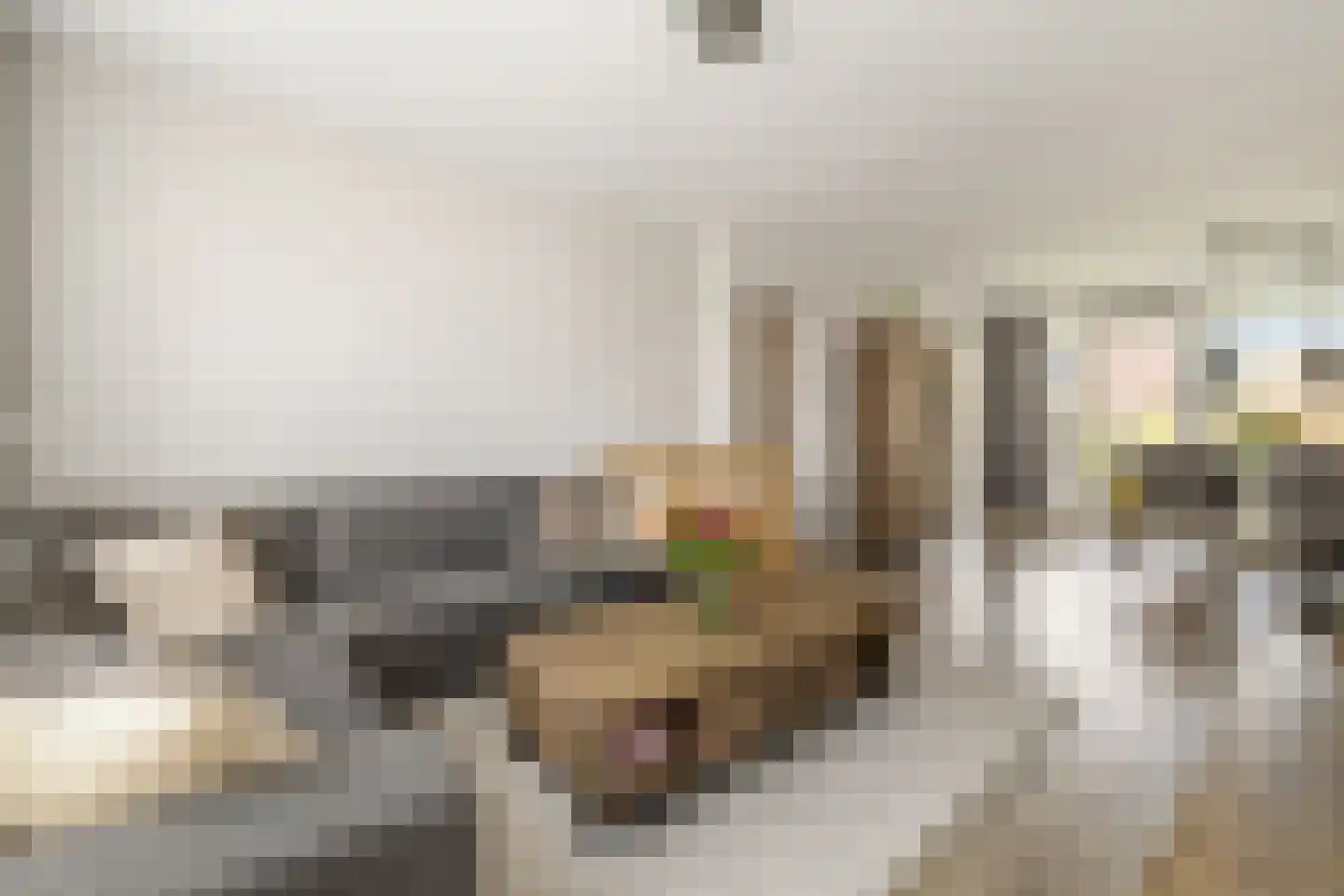 Willem de Mérodestraat 43 Weesp thumbnail 12