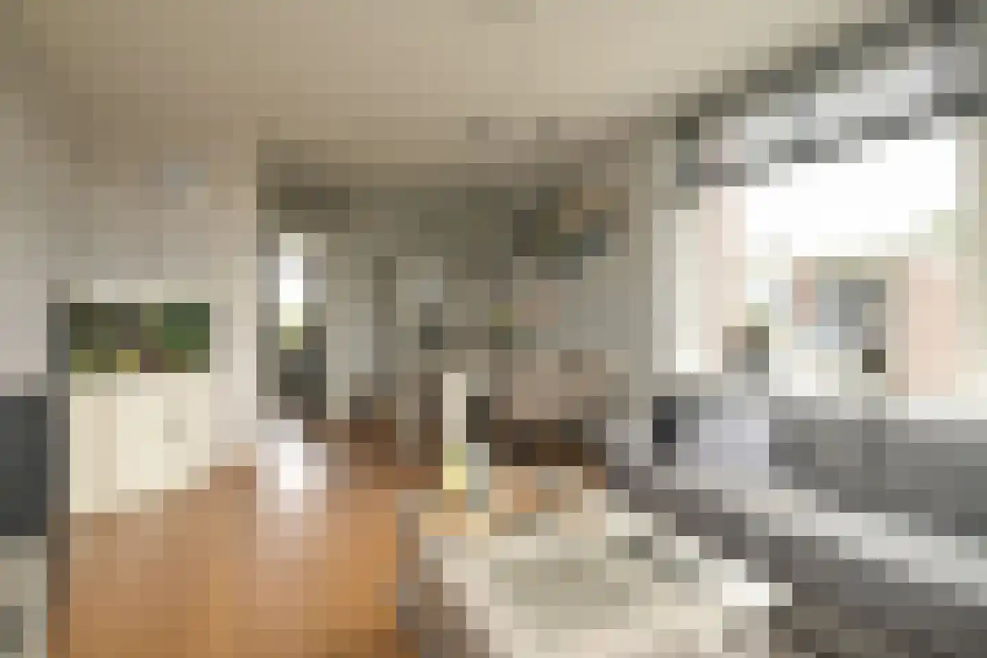 Willem de Nobelaerlaan 20 Voorburg thumbnail 22