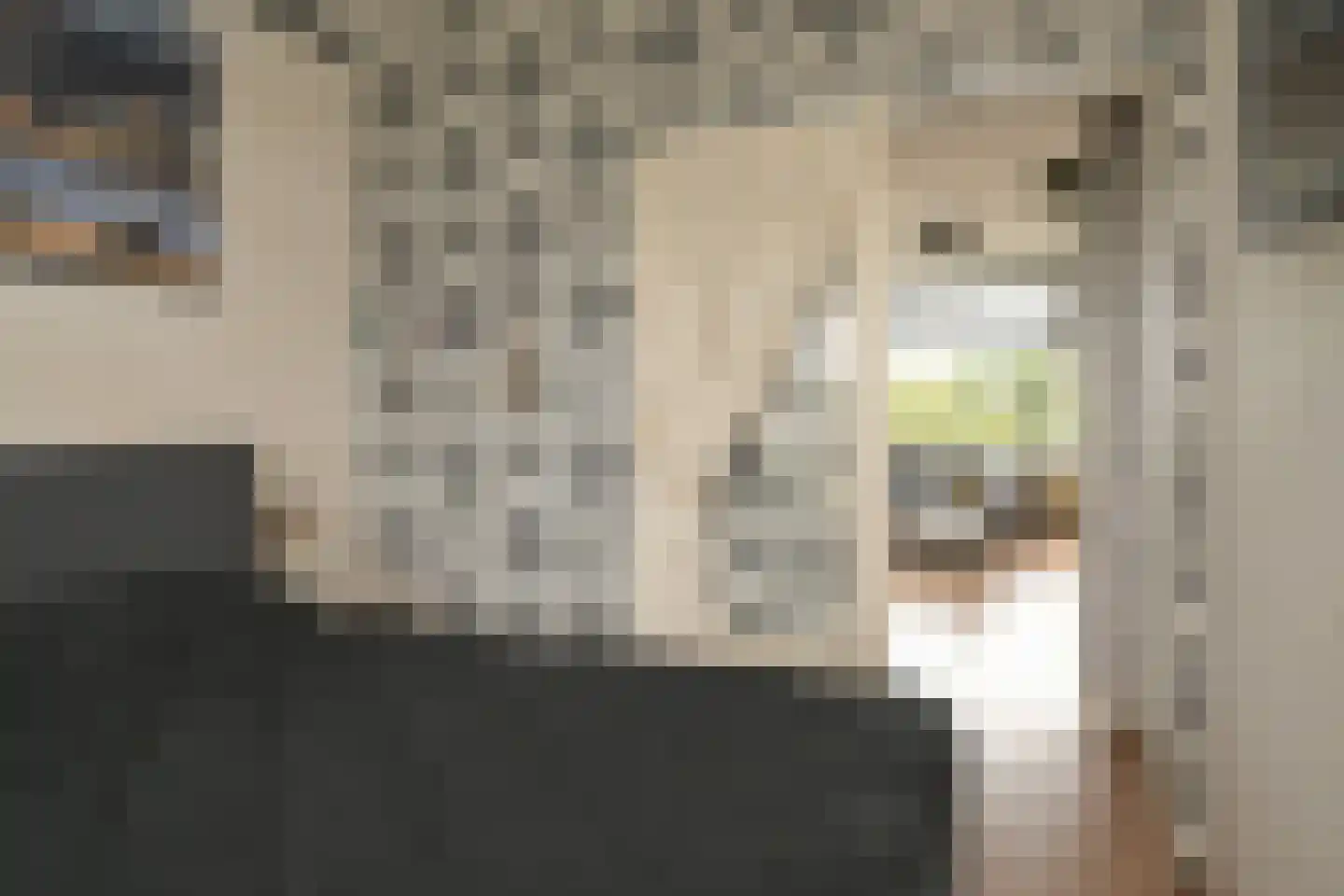 Willem de Nobelaerlaan 20 Voorburg thumbnail 25