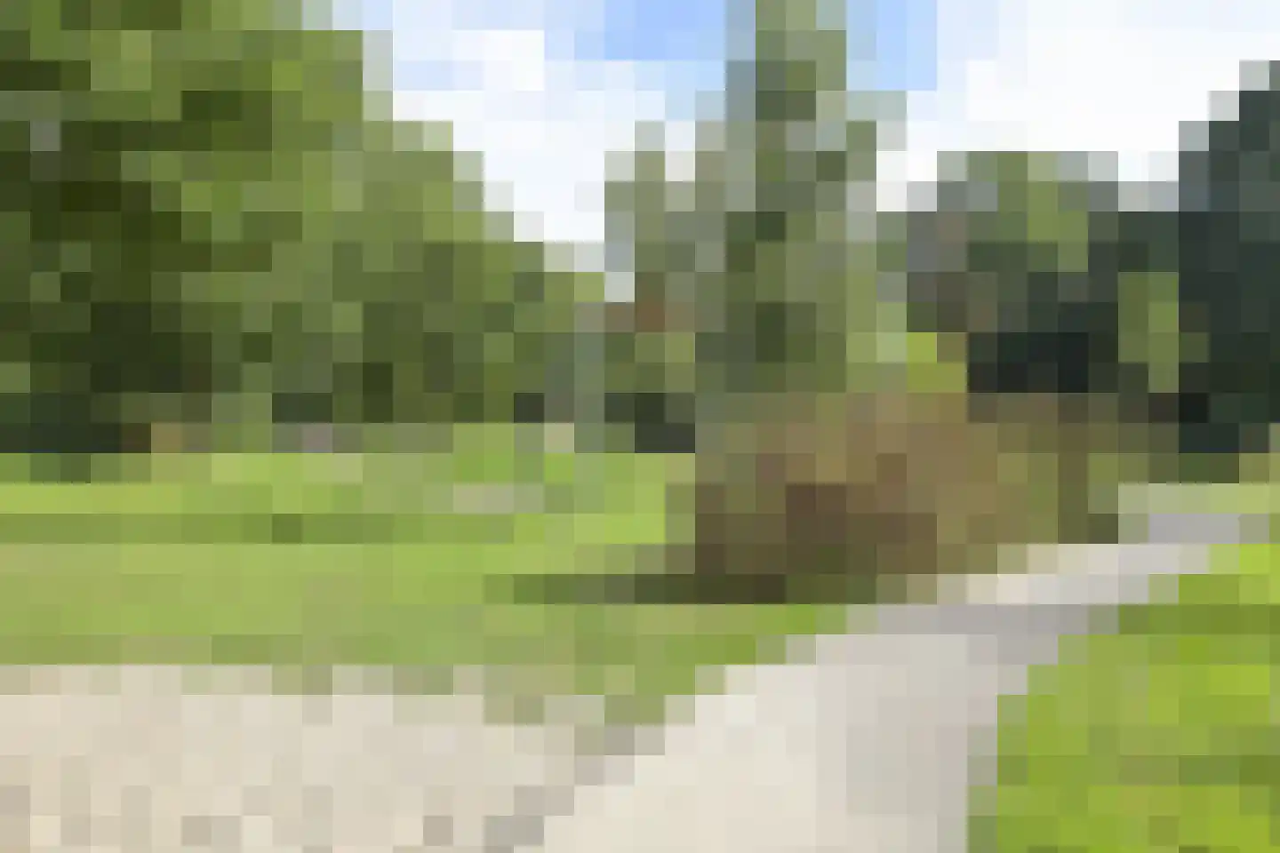 Willem de Nobelaerlaan 20 Voorburg thumbnail 37