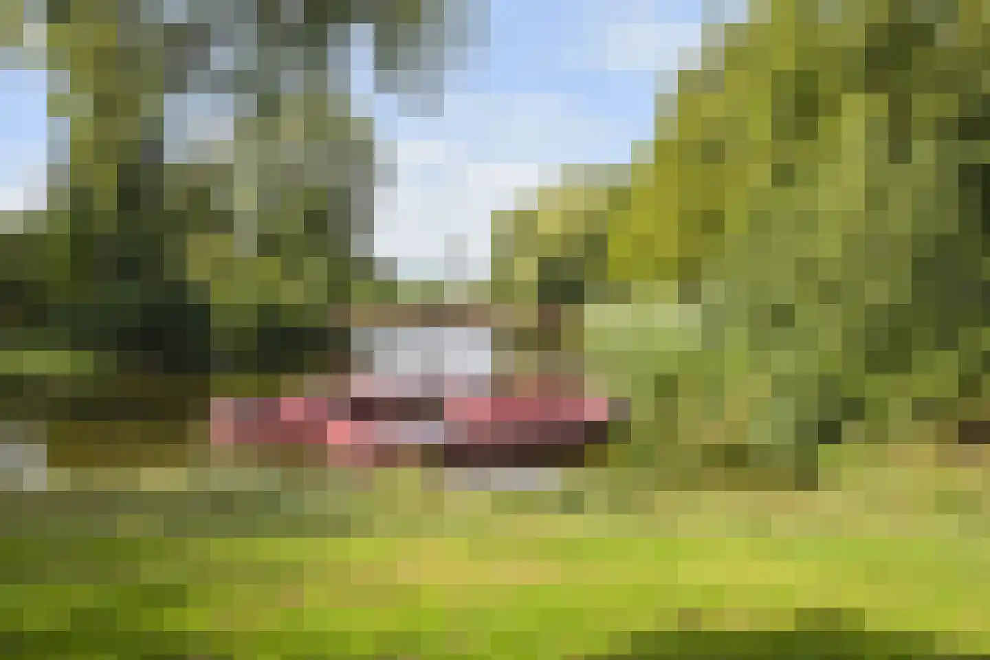Willem de Nobelaerlaan 20 Voorburg thumbnail 38