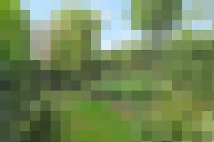 Willem de Nobelaerlaan 23 Voorburg thumbnail 11