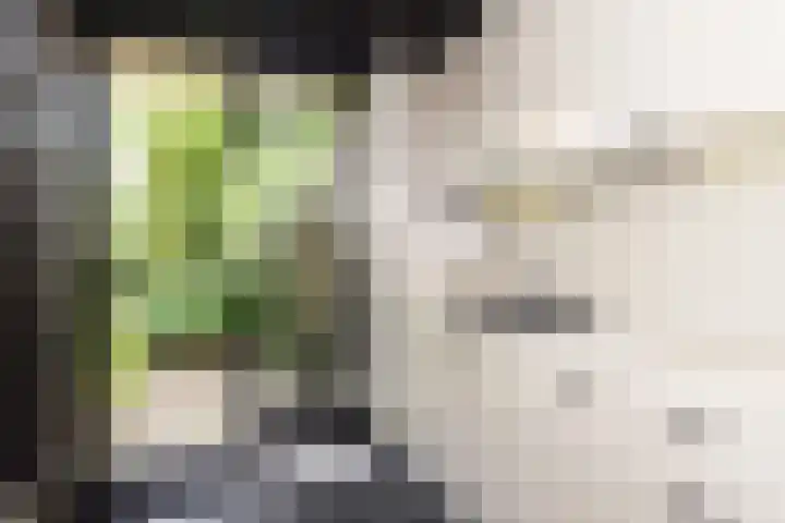 Willem de Nobelaerlaan 23 Voorburg thumbnail 20