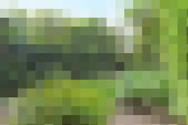 Willem de Nobelaerlaan 23 Voorburg thumbnail 21