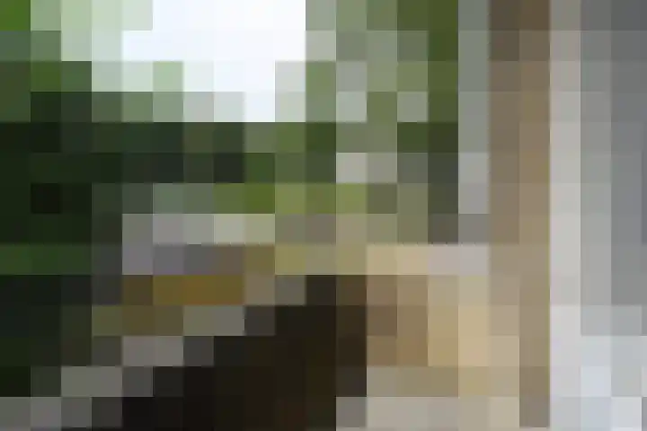 Willem de Nobelaerlaan 23 Voorburg thumbnail 29