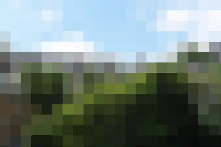 Willem de Nobelaerlaan 23 Voorburg thumbnail 30