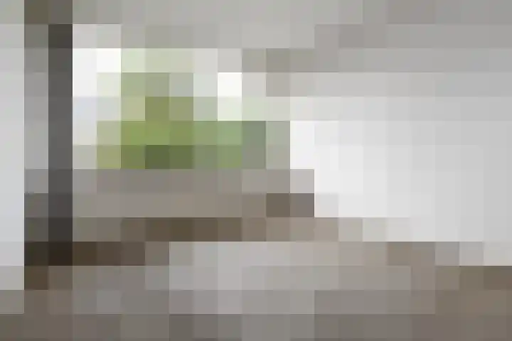 Willem de Nobelaerlaan 23 Voorburg thumbnail 32