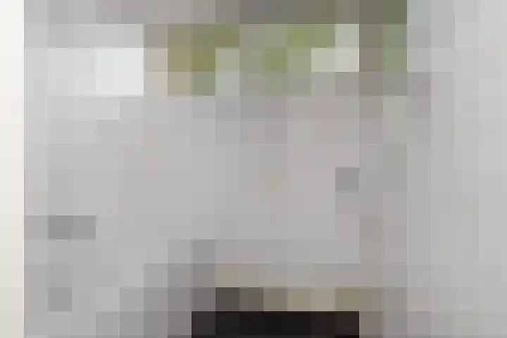 Willem de Nobelaerlaan 23 Voorburg thumbnail 38