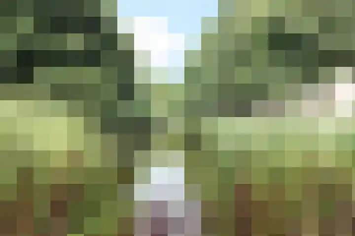 Willem de Nobelaerlaan 23 Voorburg thumbnail 48