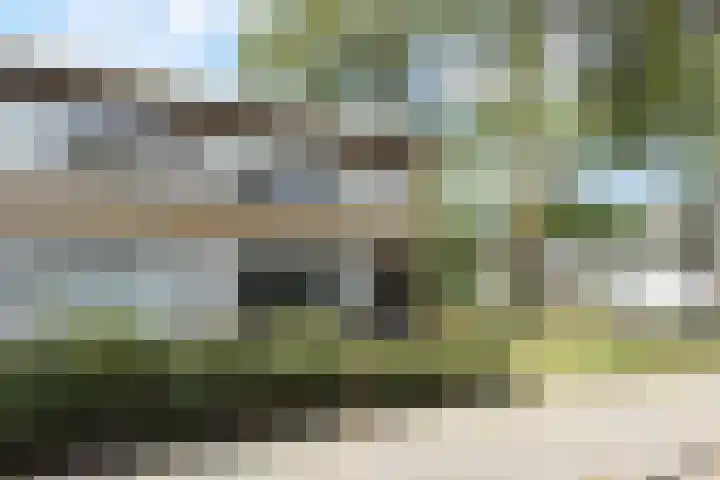 Willem de Nobelaerlaan 23 Voorburg thumbnail 6