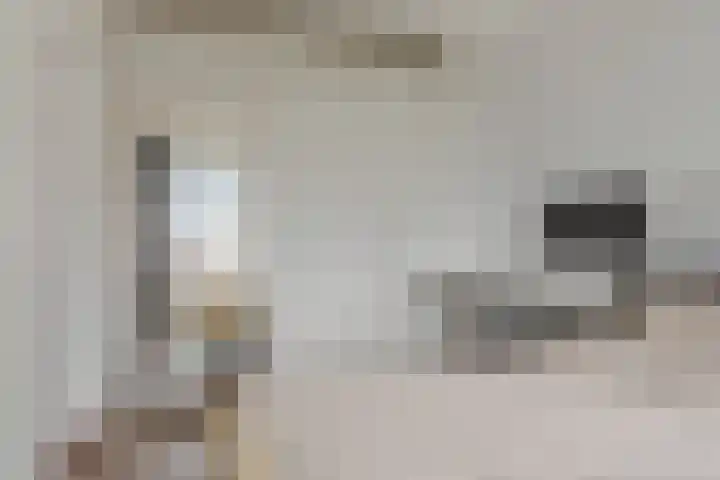 Willem de Nobelaerlaan 24 Voorburg thumbnail 10