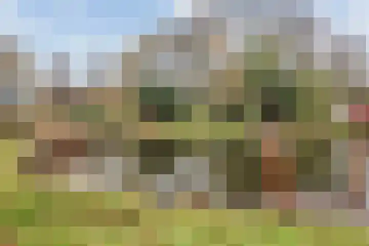 Willem de Nobelaerlaan 24 Voorburg thumbnail 20