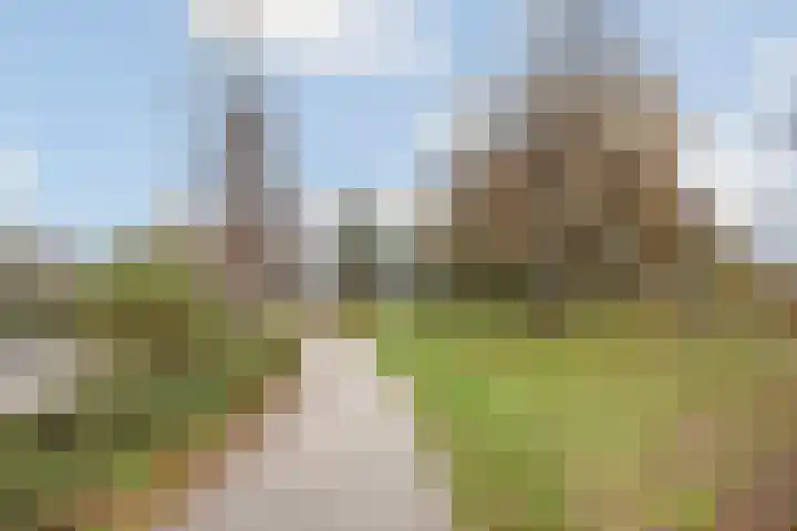 Willem de Nobelaerlaan 24 Voorburg thumbnail 21